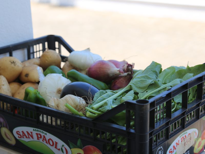 xr:d:DAGCTeesSq4:2,j:511583304127043766,t:24041313