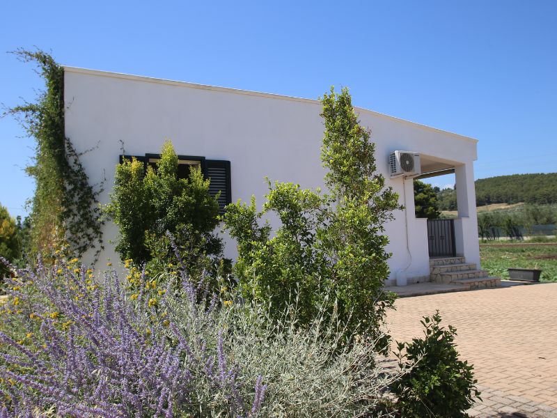 xr:d:DAGCTXlYANI:3,j:4106581703609742388,t:24041313