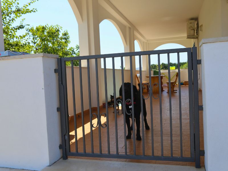 xr:d:DAGB9eTTU6A:6,j:1876173613096365988,t:24040921